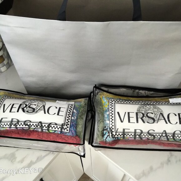 Neiman's Authentic Versace NIB's Set of 2 Versace Pillows Ret. $1398 + tx - Picture 10 of 13
